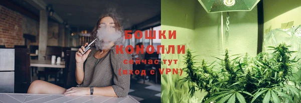 мдма Ельня