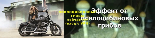 бошки Елизово