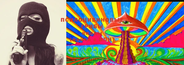 мдма Ельня