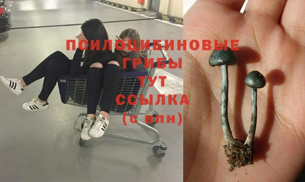 мдма Ельня